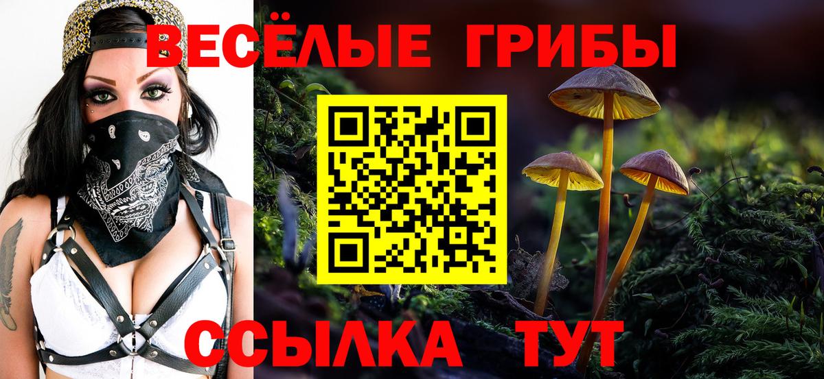 Галлюциногенные грибы ЛСД  Вход с VPN  Грозный 